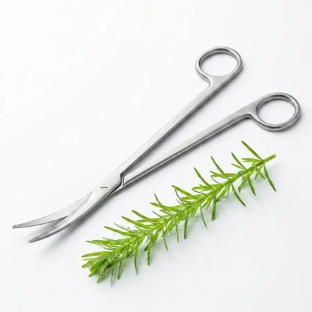 Hobby Enclave Premium 25cm Curved Aquascaping Scissors – Surgical Stainless Steel