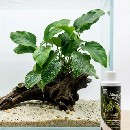 PHYTO CARB Liquid Carbon Supplement & Bio-Algae Controller