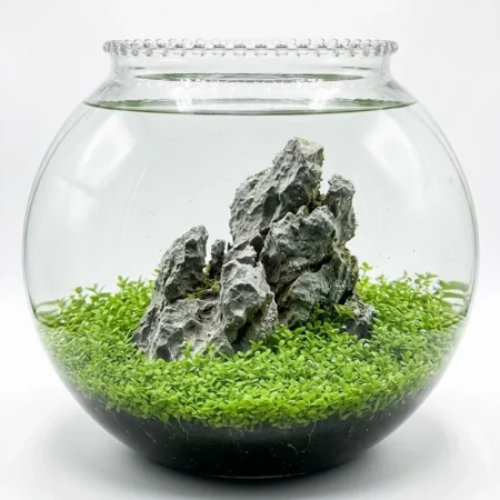 Hobby Enclave Premium Ultra-Clear Glass Fish Bowl – Minimalist Aquascaping Sphere